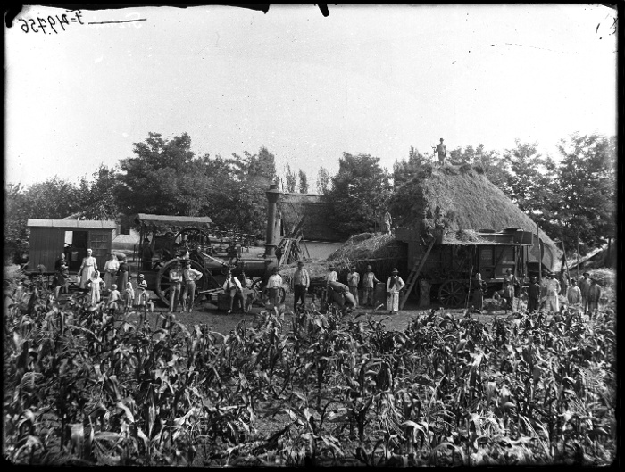 Cséplés gőzképpel egy tanya udvarán, Cegléd, üvegnegatív, 18x24 cm, Mózer Aladár (?) felvétele, 1910 körül, Néprajzi Múzeum, F 49756
