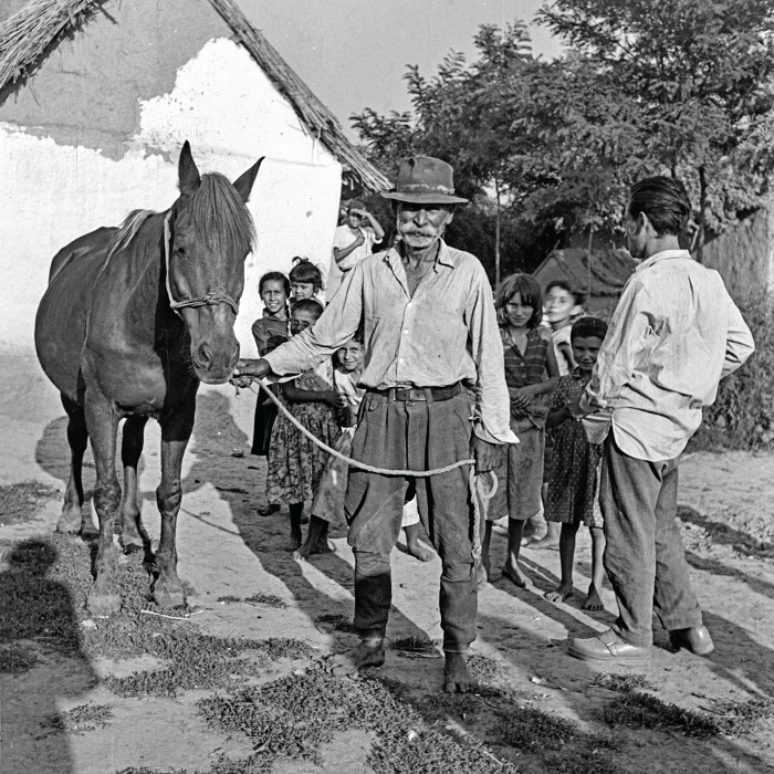 Lókereskedéssel foglalkozó oláh cigány férfi, Poroszló, 1959 (Erkel Ferenc Múzeum, ltsz. F 8603)